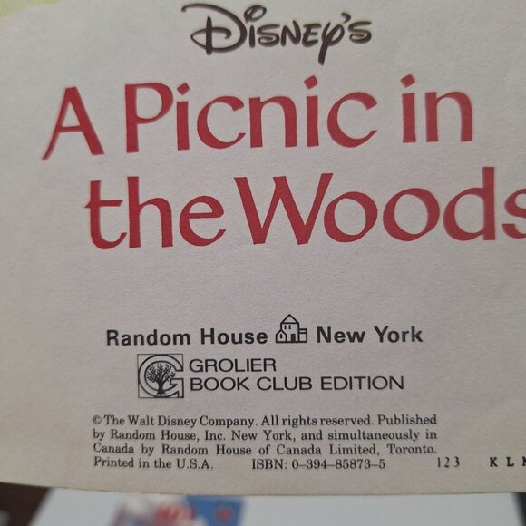 Disney Hardcover Books Vintage Lion King 101 Dalmations Lilo Stitch Picnic 90s - Picture 7 of 11